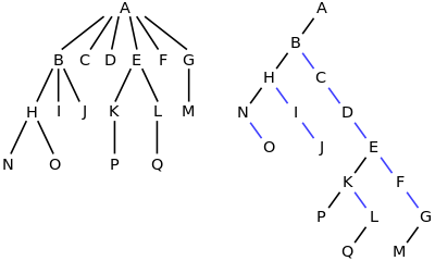 tree_and_binary_tree_8.png