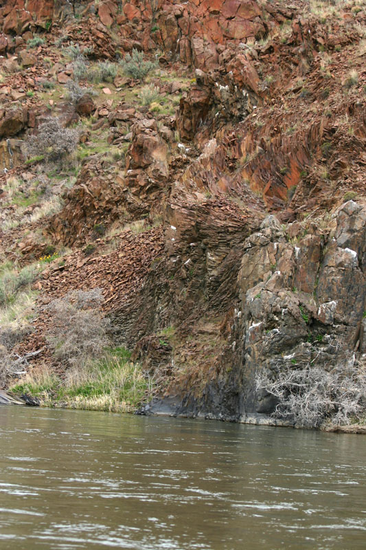 IMG_0530