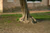 IMG_0933.JPG (186792 bytes)