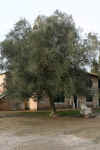 IMG_0934.JPG (197614 bytes)