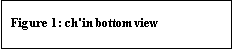 Text Box: Figure 1: ch'in bottom view