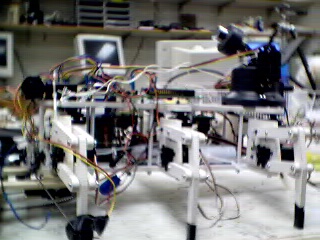 hexapod1side