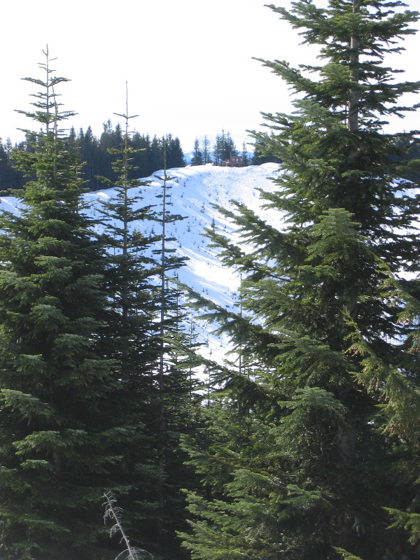 The Snow Bowl and the hut 