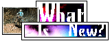 [What's New?]