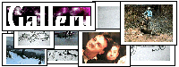 [Downloads]