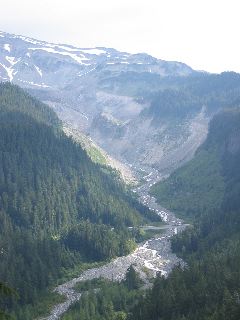 Nisqually Valley
