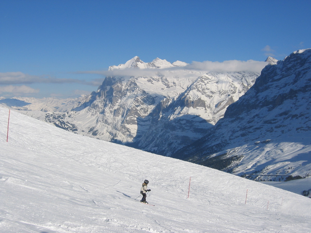 Wetterhorn, Schreckhorn & Eiger