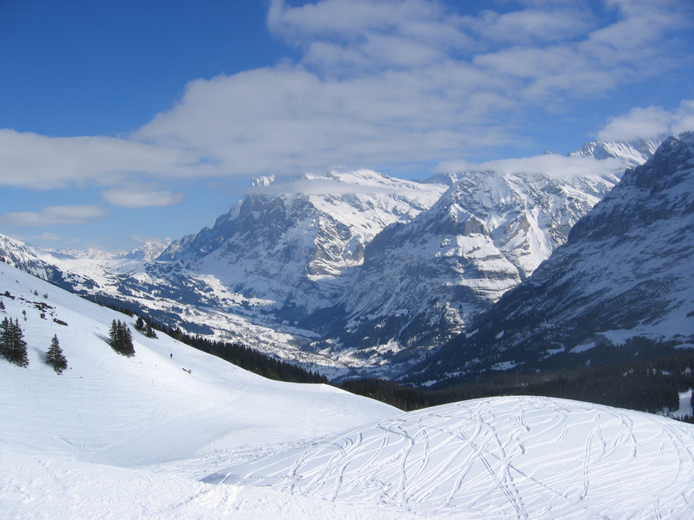 Wettwehorn, Schreckhorn and base of Eiger