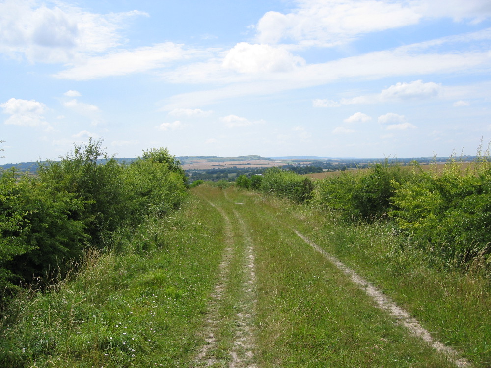 Dunstable Downs