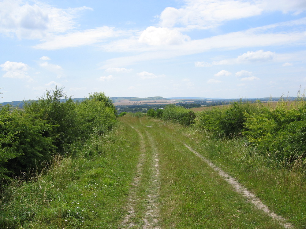 Dunstable Downs