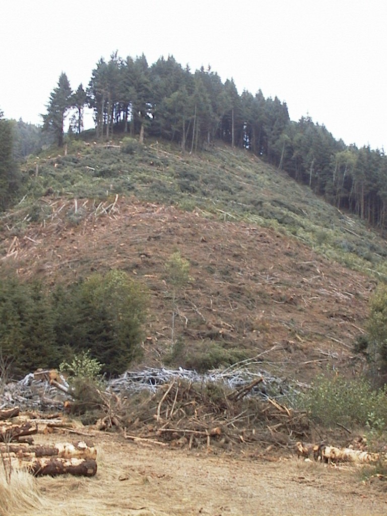 images/07_logging_on_neskown_cr.jpg