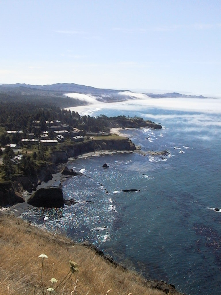 images/33_otter_rock_from_cape.jpg