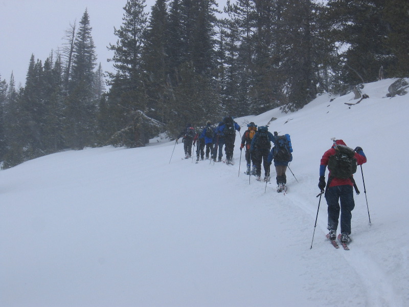 On the trail