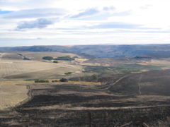 a large burn on the Maryhill Grade