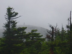 Mt Cardigan from Rimrock