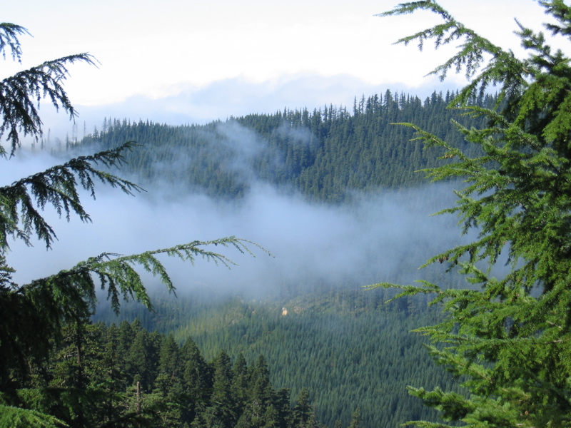 horizontal mists