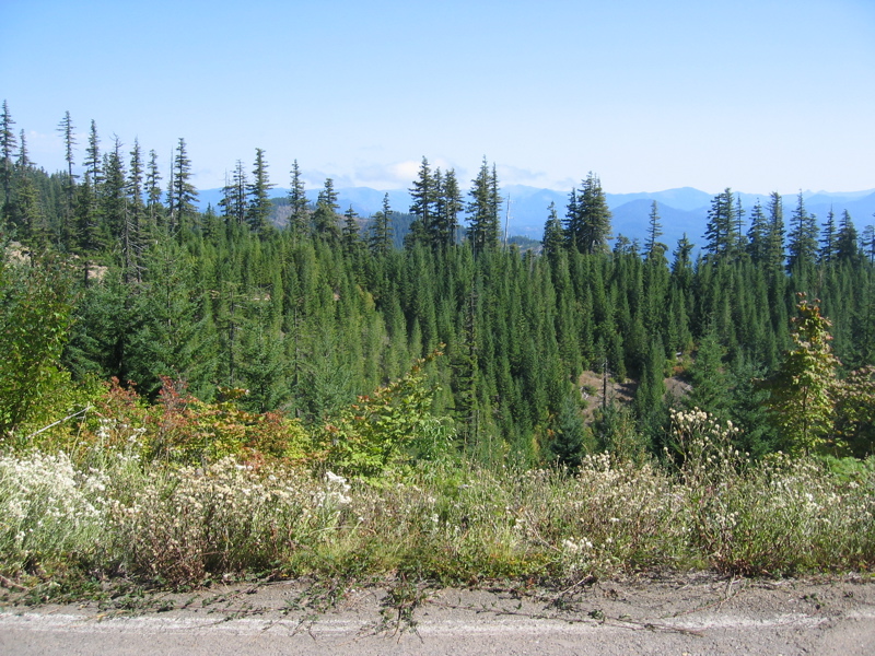 IMG_8882.JPG
