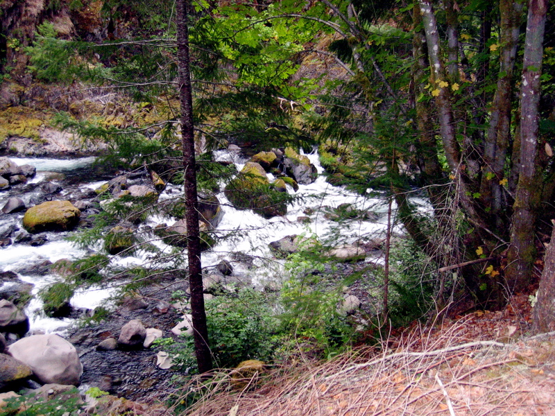 N. Fork of Middle Fork of the Willamette