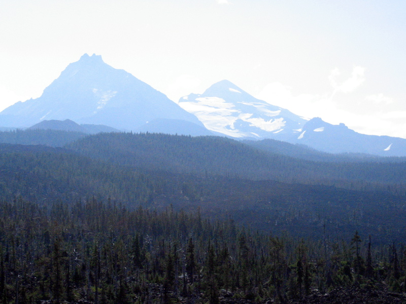 IMG_8935.JPG