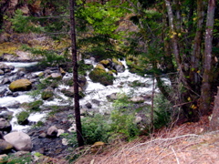 N. Fork of Middle Fork of the Willamette