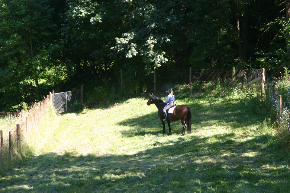 IMG_7573.JPG