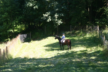 IMG_7573.JPG