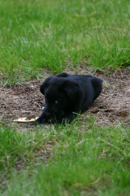 IMG_7163.JPG