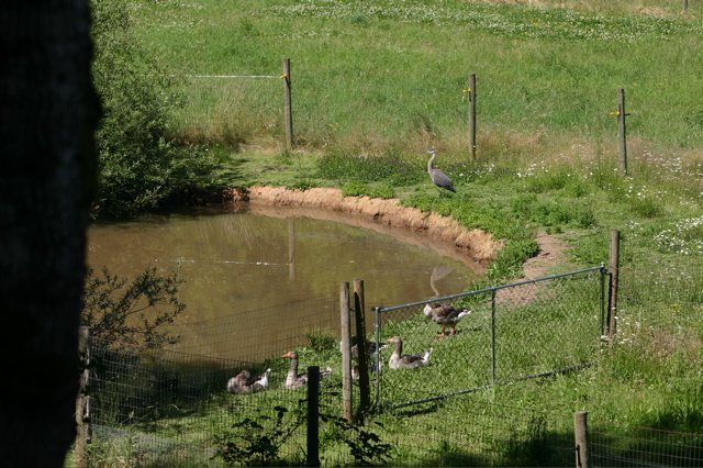IMG_7502.JPG