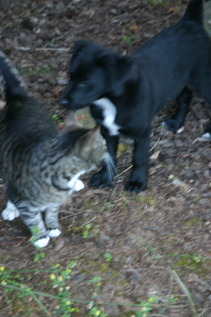 IMG_7606.JPG