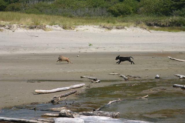 IMG_7651.JPG
