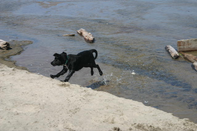 IMG_7645.JPG