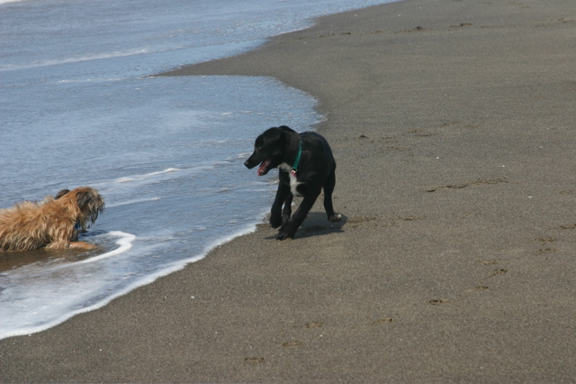 IMG_7629.JPG
