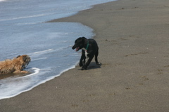 IMG_7629.JPG