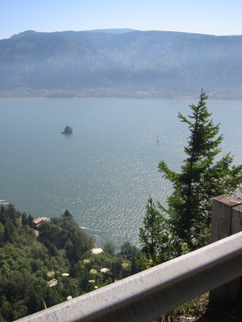 IMG_3545.JPG