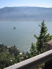 IMG_3545.JPG