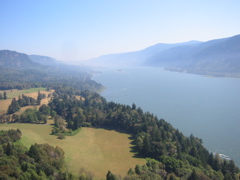 IMG_3546.JPG