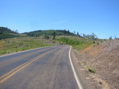 IMG_3561.JPG