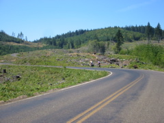 IMG_3562.JPG