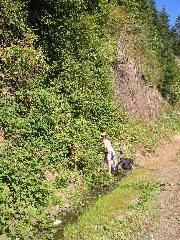IMG_3571.JPG