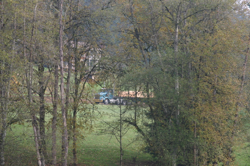 IMG_7985.JPG