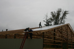 IMG_8231.JPG