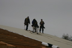 IMG_8263.JPG