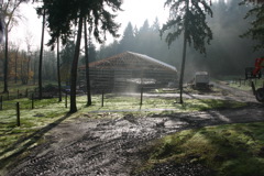 IMG_8269.JPG