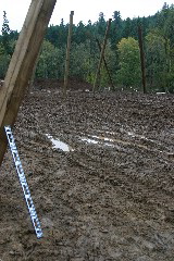 IMG_7932.JPG