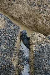 IMG_8407.JPG