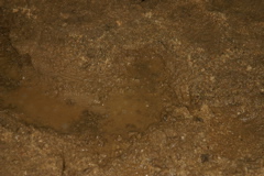 IMG_8424.JPG