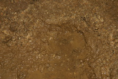 IMG_8425.JPG