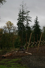 IMG_7945.JPG