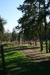IMG_7959.JPG
