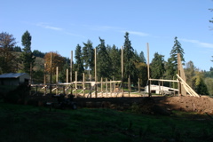 IMG_7977.JPG